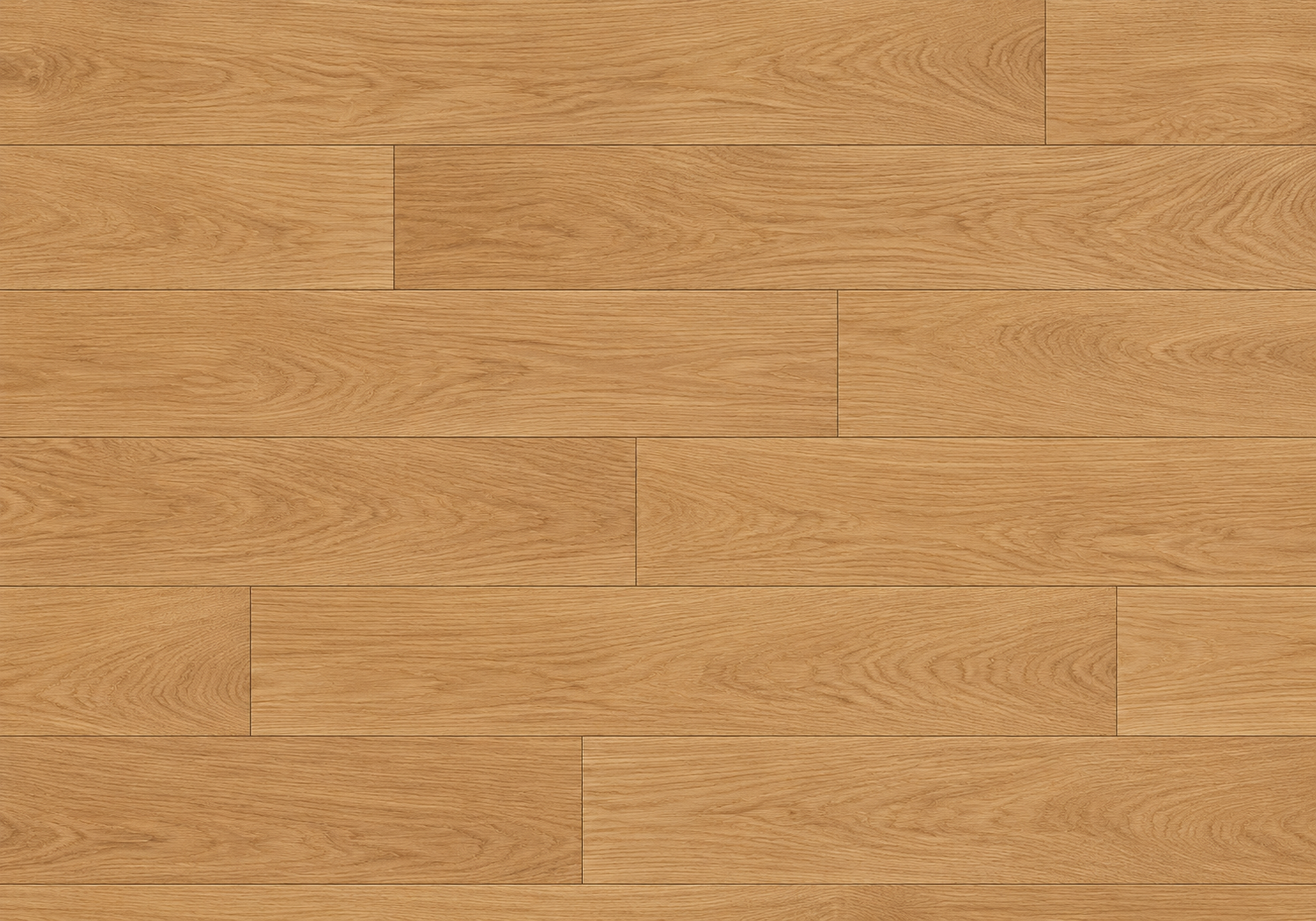 Nordica Color